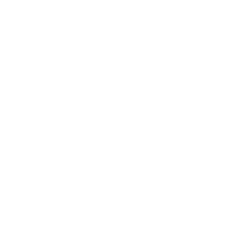 Migue Studio